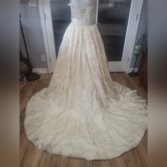 Strapless Beaded Champagne Wedding Gown - Picture 8 of 11